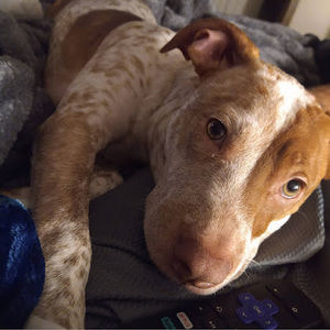 Meet your Posher, William